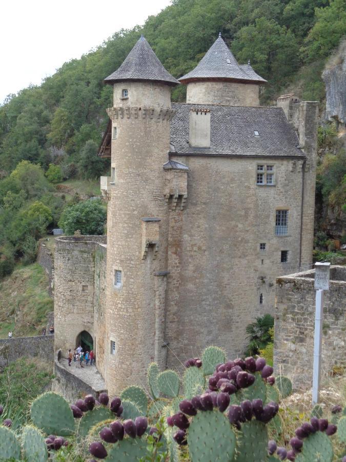 Larroque-Toirac Les Dessous De La Grange 아파트 외부 사진